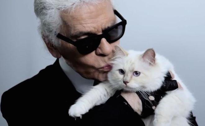 老佛爷的爱猫 choupette