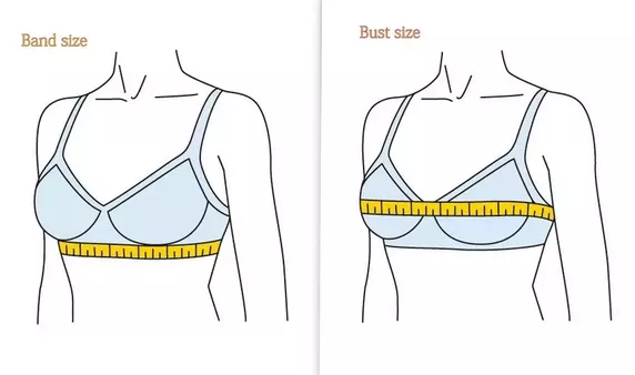 内衣尺寸_怎样量内衣尺寸