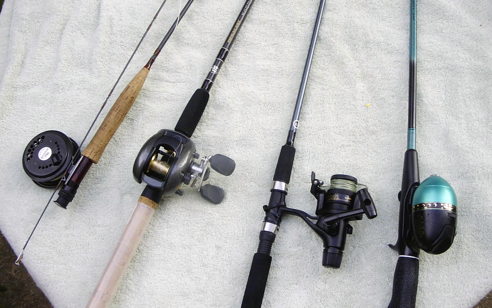 fishing rod 鱼竿的种类 根据搭配使用的鱼线轮(reel)来分类(不同类