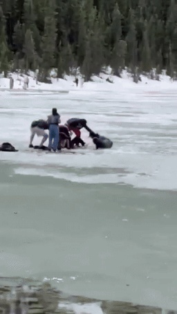 ezgif.com-resize (2)