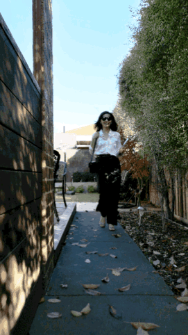 3.gif