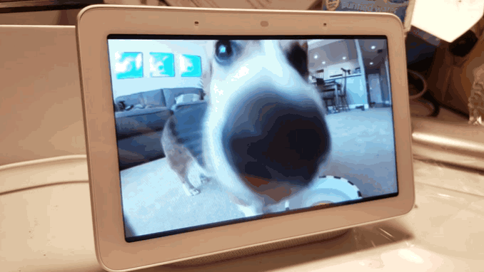 animation (1).gif