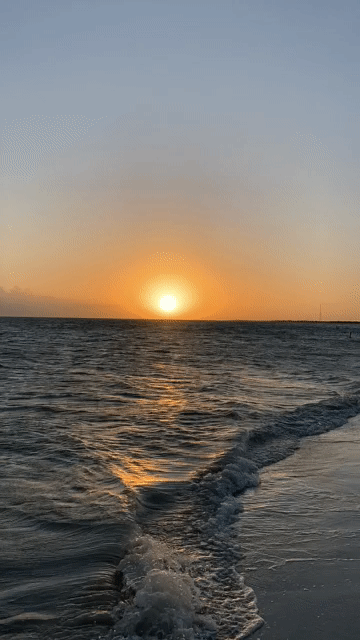 ezgif.com-gif-maker (1).gif
