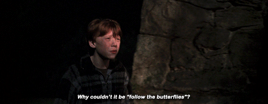 30ef6b1a84c09eba4dbee2276b3206a4.gif