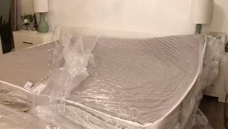 DEEDD5B1-40E3-4A78-A8CB-E02FC64778F5.gif
