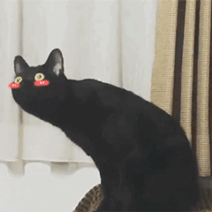 006HJgYYgy1fsskei2ui1g306o06oh3f.gif