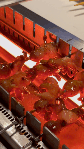 bbq5.gif