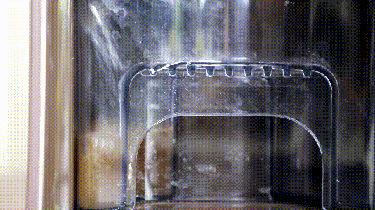 MVI_1213 (1).gif