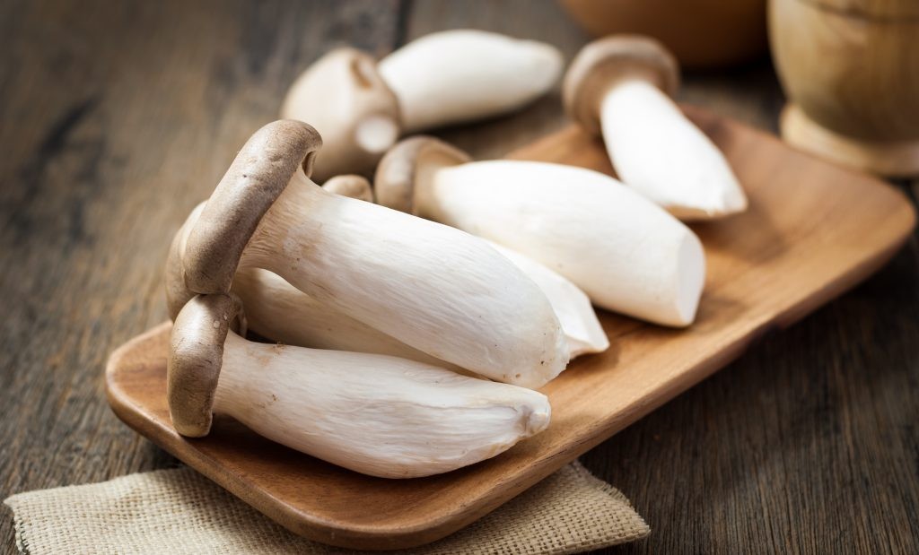 杏鲍菇英文King Oyster Mushroom