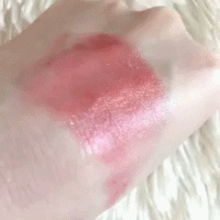 estee lauder1.GIF