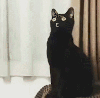006HJgYYgy1fsske8g2opg305p05k129.gif