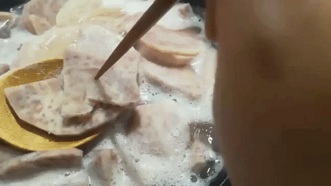 giphy.gif