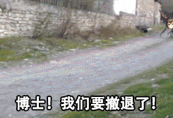 20190509161704_98714.gif