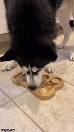 4r0w1q.gif