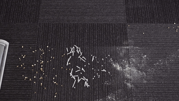 Rug_lv2.gif