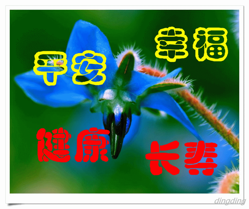 f83591b20c2e0ab8a144df82.gif