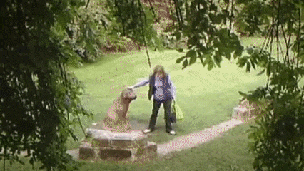 1-1564123398.gif