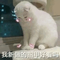40357.gif