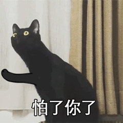 006HJgYYgy1fsskeikoemg306o06o4gs.gif