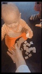 IMG_0345.GIF