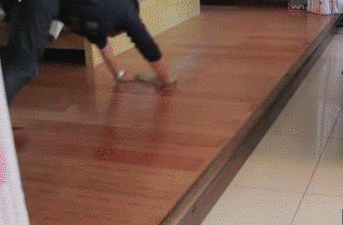 0-1590378036.gif