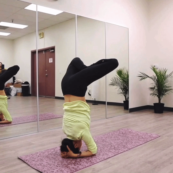 ezgif.com-video-to-gif-5.gif