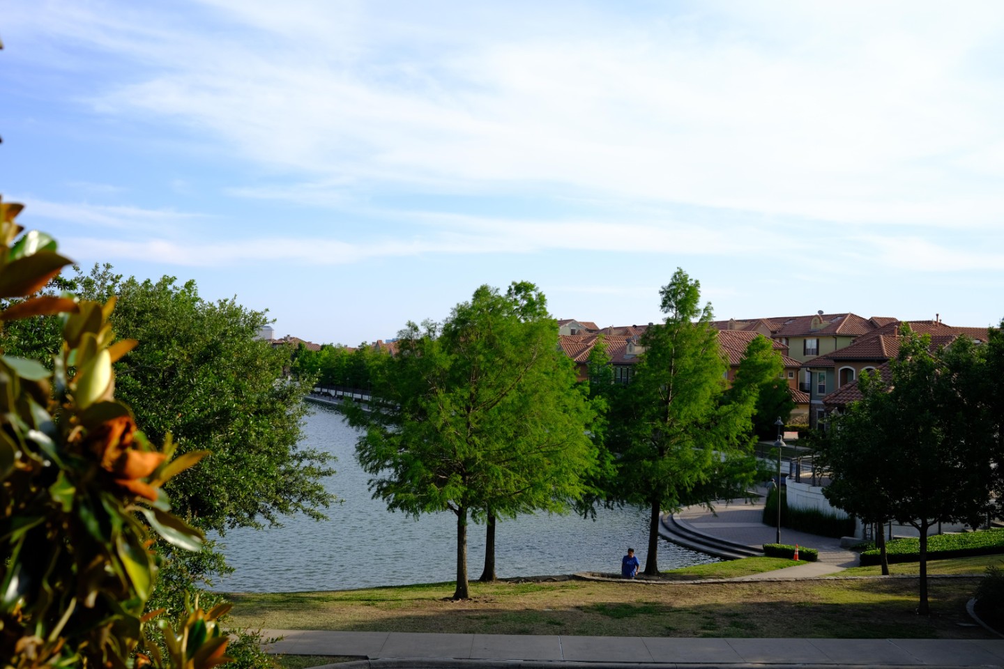 DSCF0380.jpg