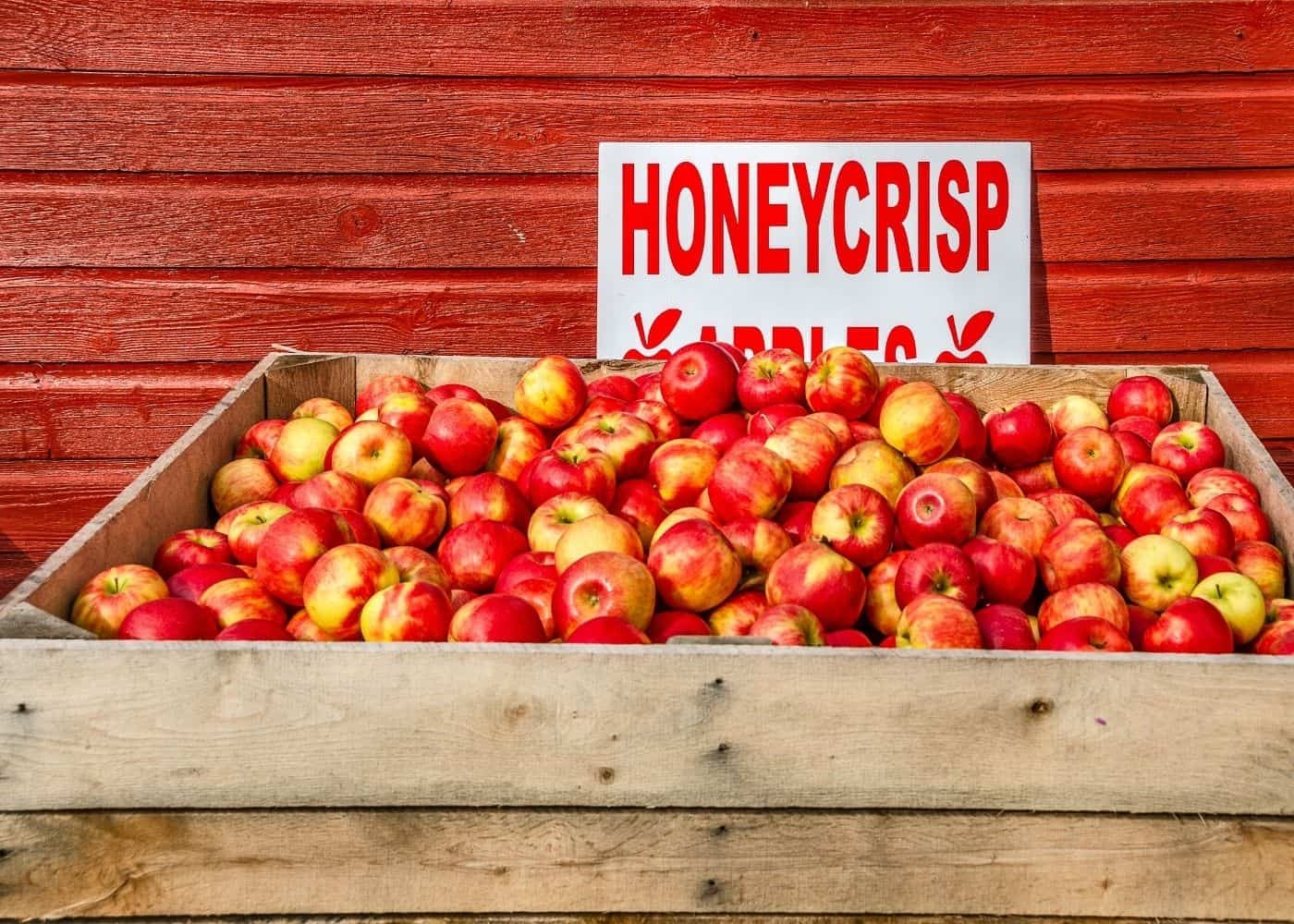 Honeycrisp Apple 蜜脆苹果
