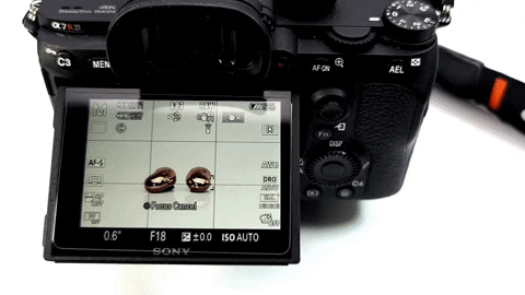 走进索尼相机（2）- 像素至上- α7R系列全画幅微单相机-北美省钱快报 