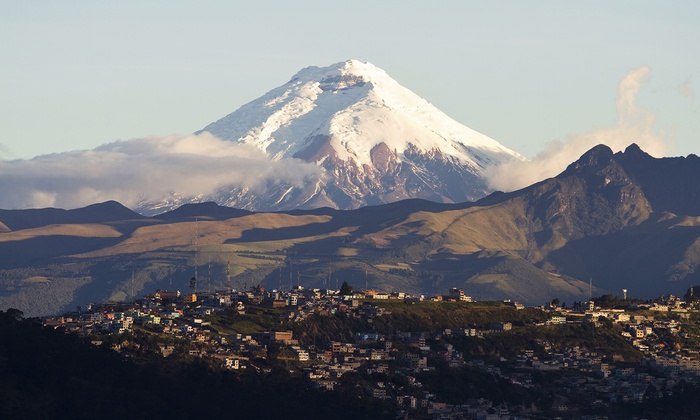 c700x420 (10).png