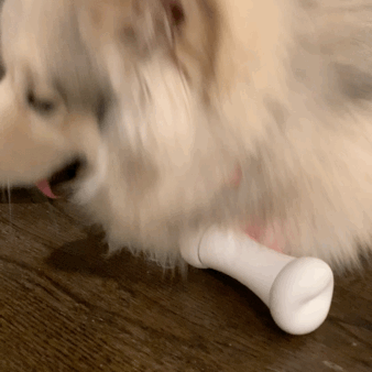 1 (2).GIF