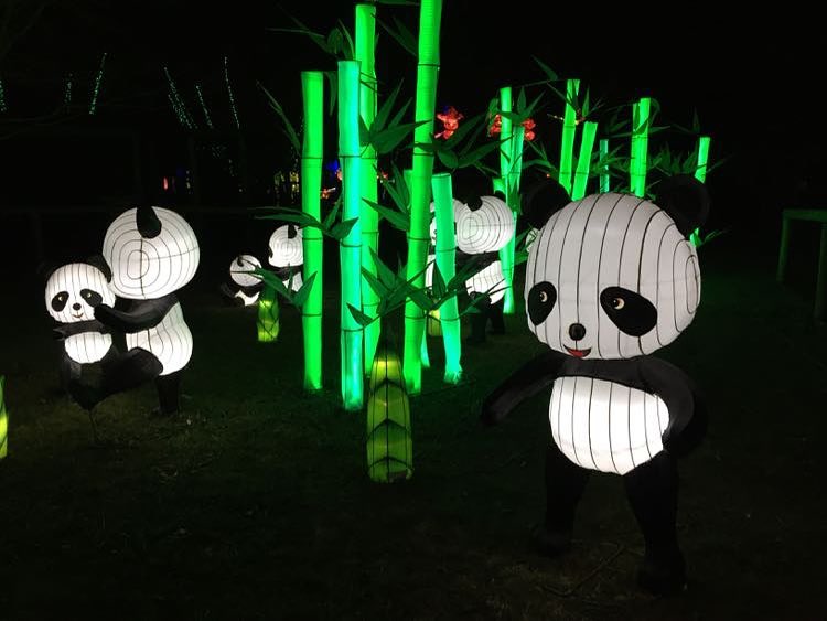 chineselanternfest_23668342_387575831663157_771837908360364032_n.jpg