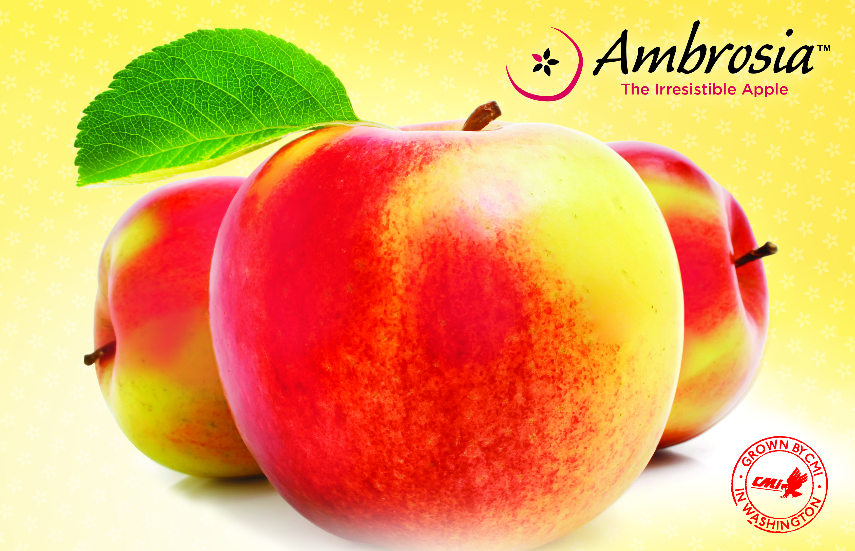 Ambrosia Apple 圣芳苹果