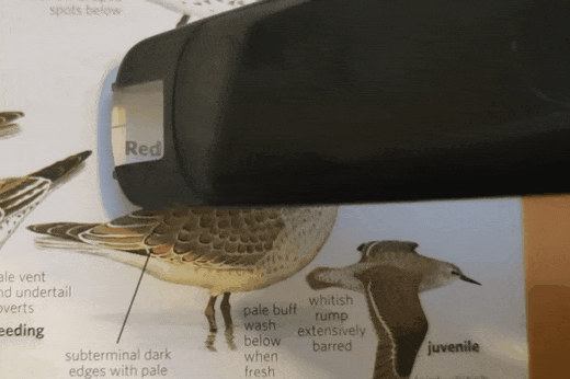 20210127_001149.gif