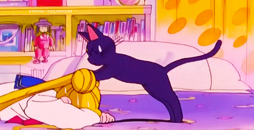 tumblr_n2ll4nghzv1rqrq7ho1_500-1438706157.gif