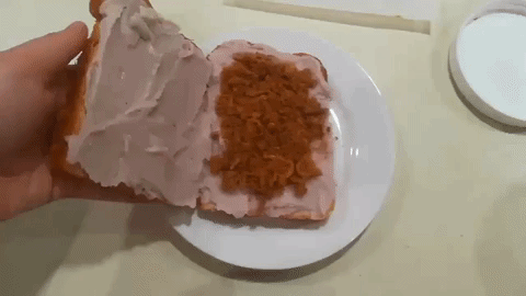 giphy2.gif