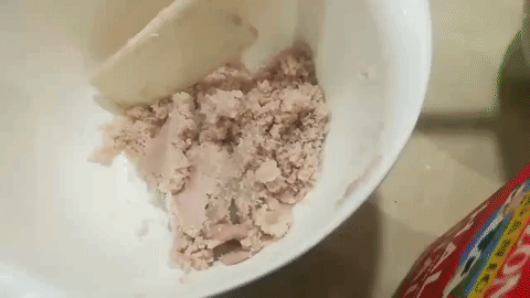 giphy.gif