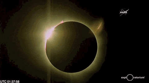 eb77c2744a5444ceb5c54c798cbc2c99.gif