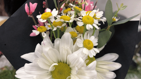hua2.gif