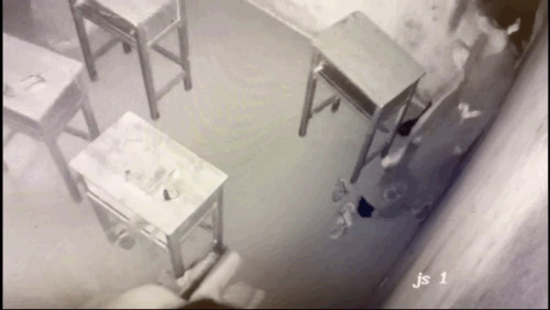 ImportVideo_50711.957612 3.GIF