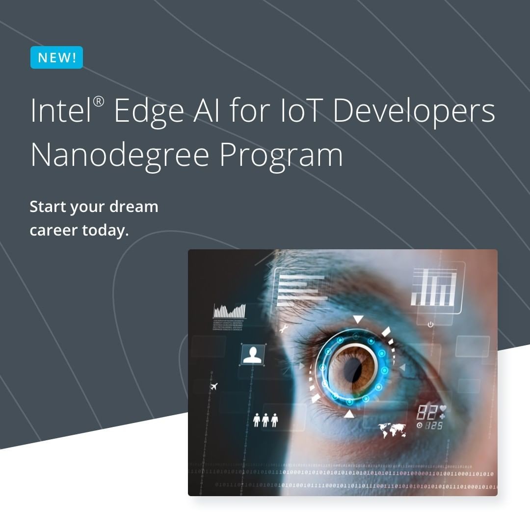 udacity_93262695_115436870125164_1748432628771236576_n
