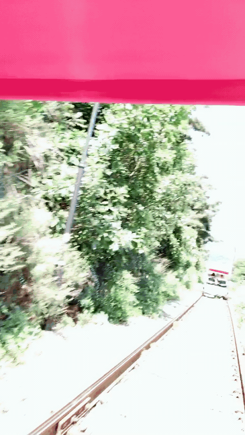 2020-11-14 04.23.30.gif