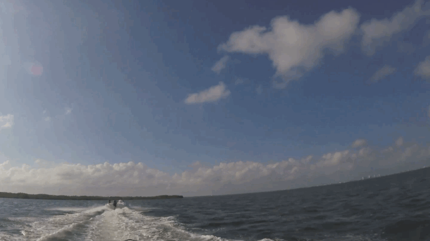 S__61218819.gif