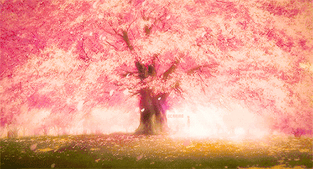 ad51a777bc5643dbab75e0ae111e30e6.gif
