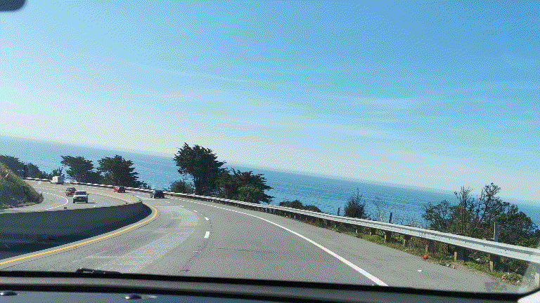 Video_20200221_024812_925.gif