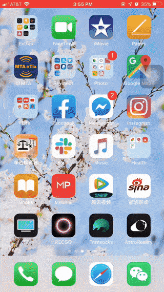 lunar.gif