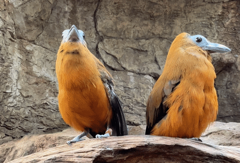gif1.gif