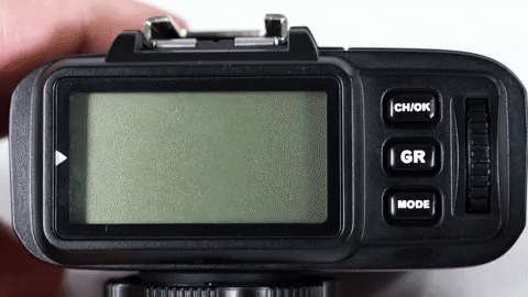 giphy (1).gif