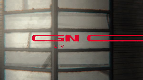 ezgif.com-video-to-gif (1).gif