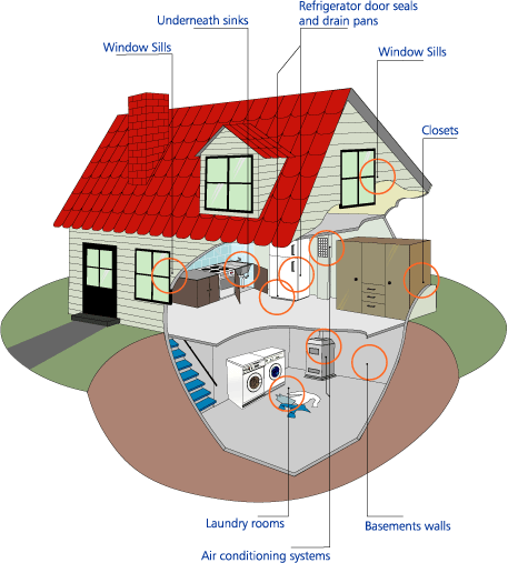 home_cutaway.gif